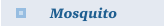 Mosquito